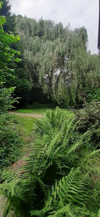 Fewo Im Naturschutzgebiet Hiddenhausen Eksteriør bilde