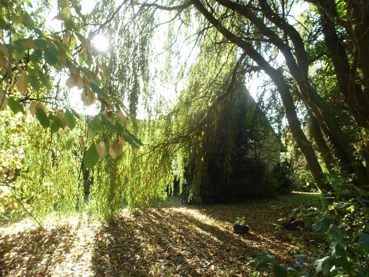 Fewo Im Naturschutzgebiet Hiddenhausen Eksteriør bilde
