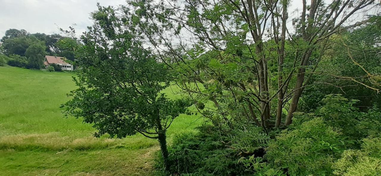 Fewo Im Naturschutzgebiet Hiddenhausen Eksteriør bilde